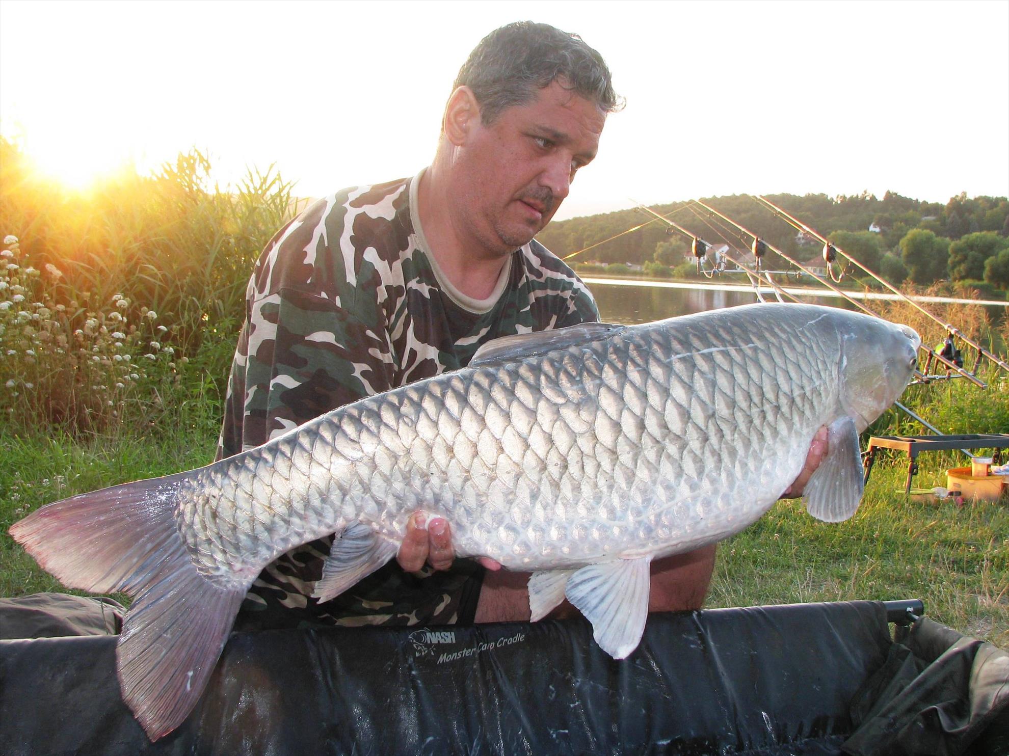 Harsany 21 - 27 iul. - img0141.JPG